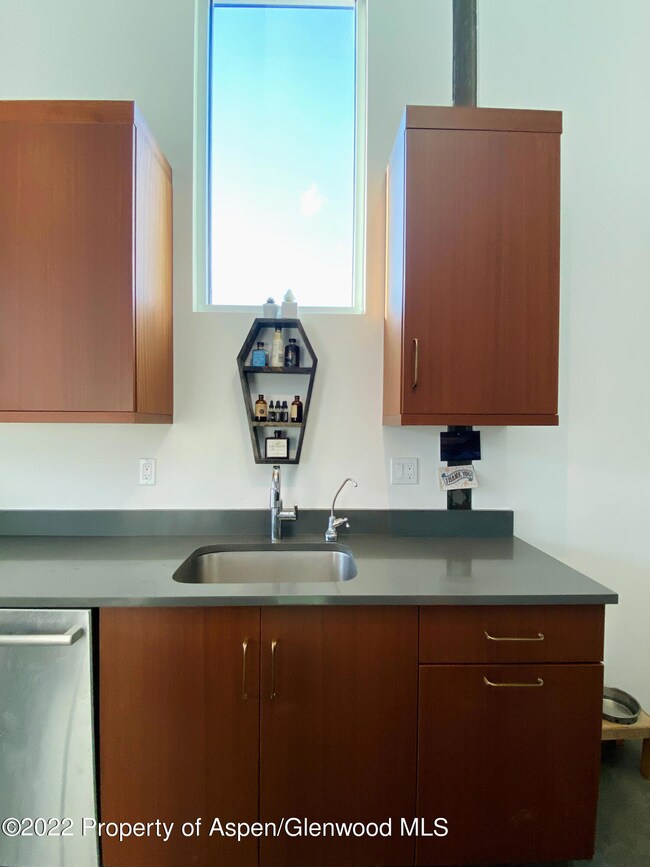 0035 Widget St unit 516, Basalt, CO 81621 - photo 6