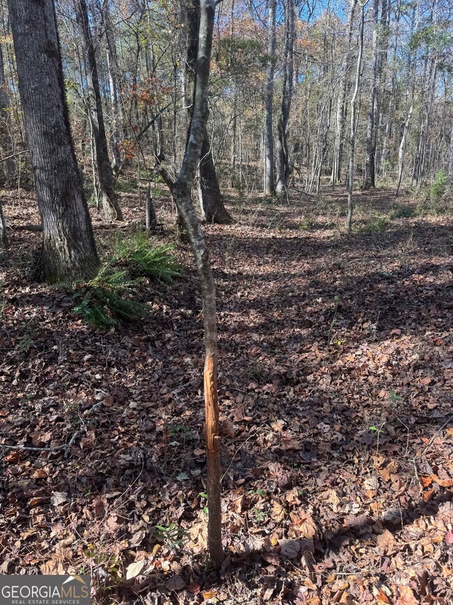 4509 Georgia 18, West Point, GA 31833 - photo 6