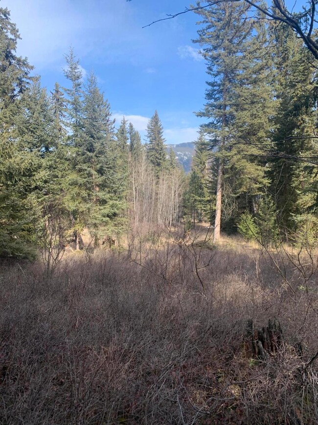 249 Elk Park Rd, Columbia Falls, MT 59912 - photo 4