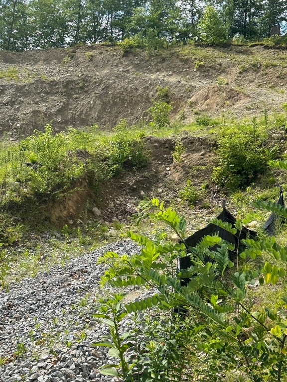 33 Walsh Ave, Auburn, MA 01501 - photo 6