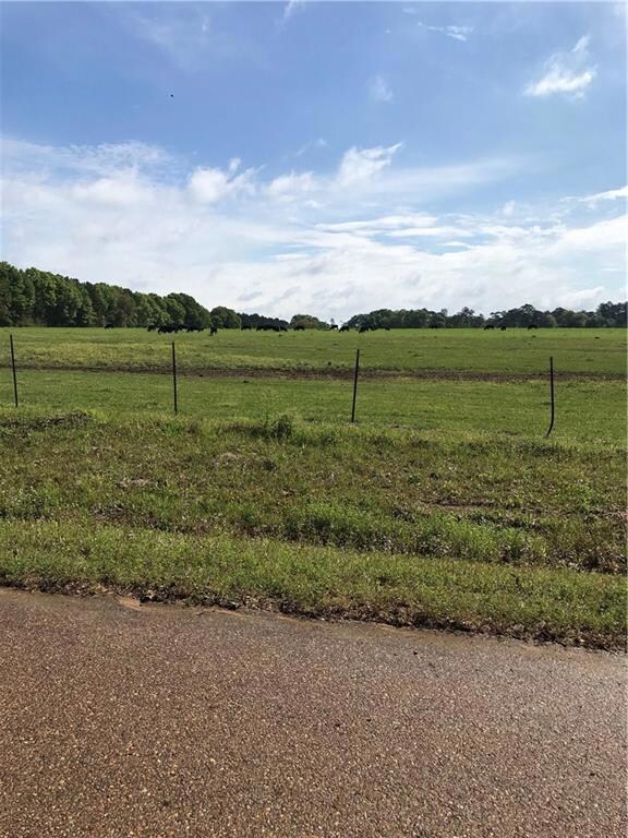 0 Keating Rd, Covington, LA 70435 - photo 3