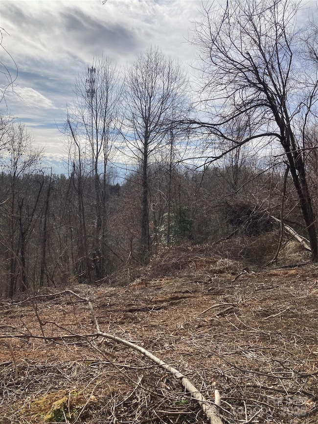 1638 Continental Divide Dr unit 1, Flat Rock, NC 28731 - photo 5