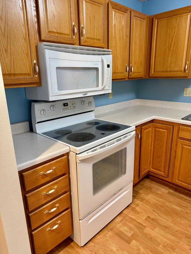 912 Hawthorne St unit 106, Alexandria, MN 56308 - photo 5