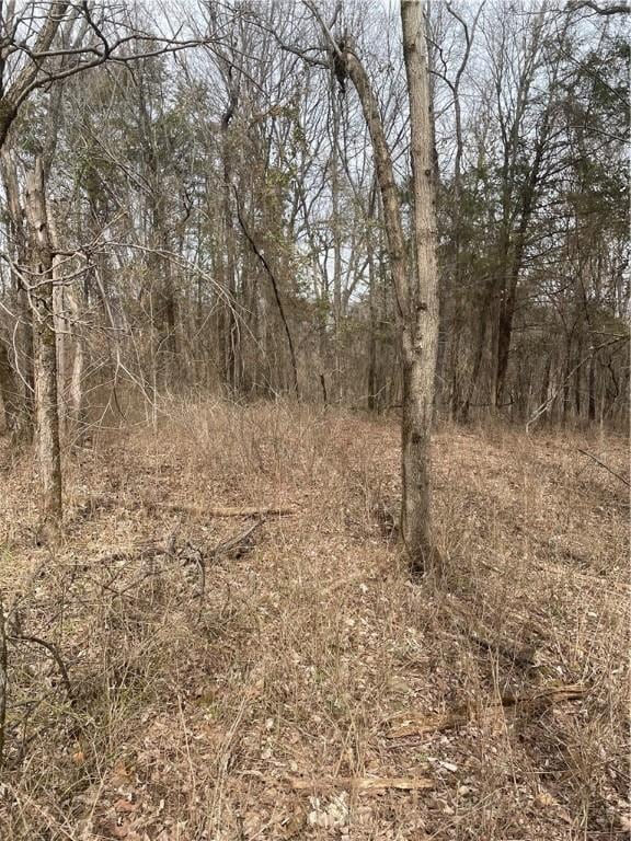 10 AC Stout Mountain Rd, Fayetteville, AR 72701 - photo 2