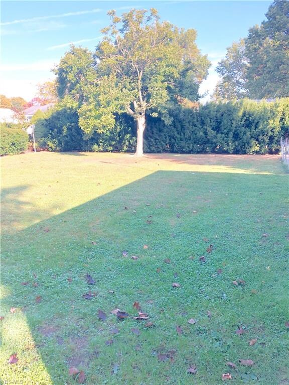 1615 Harden Dr, Barberton, OH 44203 - photo 5