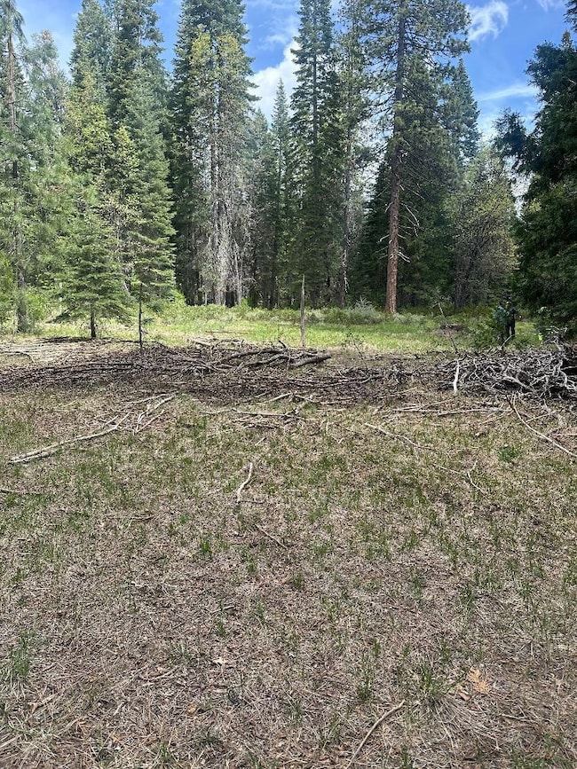 0 Widow Springs Dr, McCloud, CA 96057 - photo 2