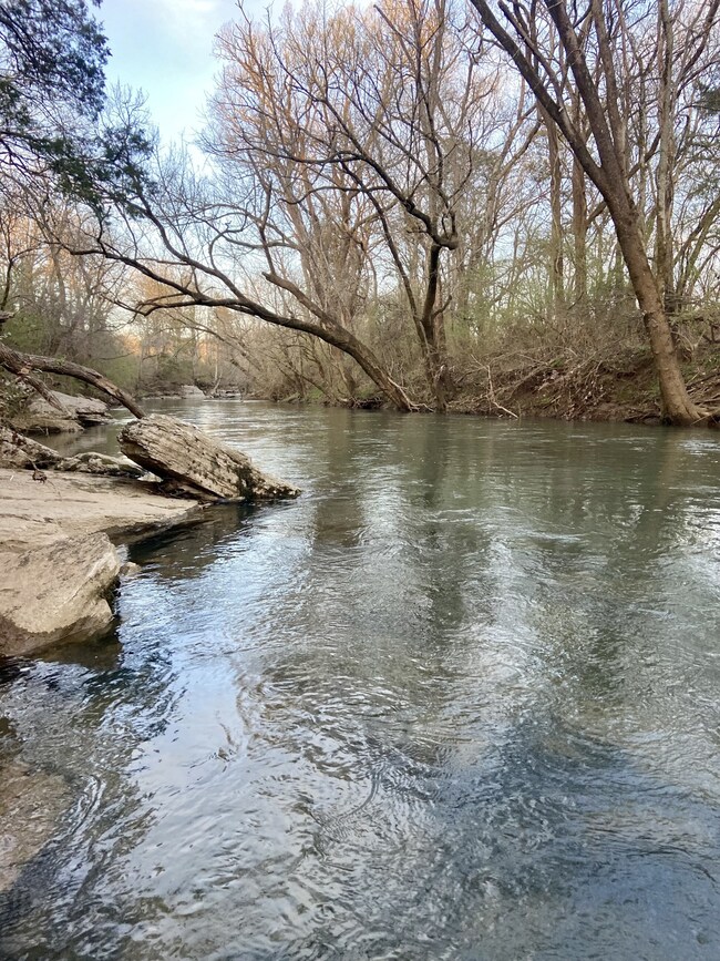 2525 Verona Caney Rd, Lewisburg, TN 37091 - photo 7