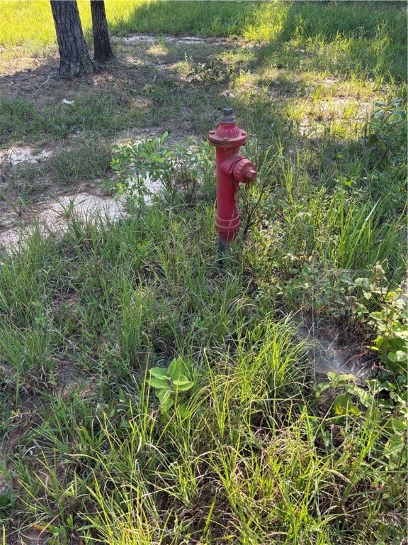 000 Rattlesnake Ln, Pottsville, AR 72858 - photo 4