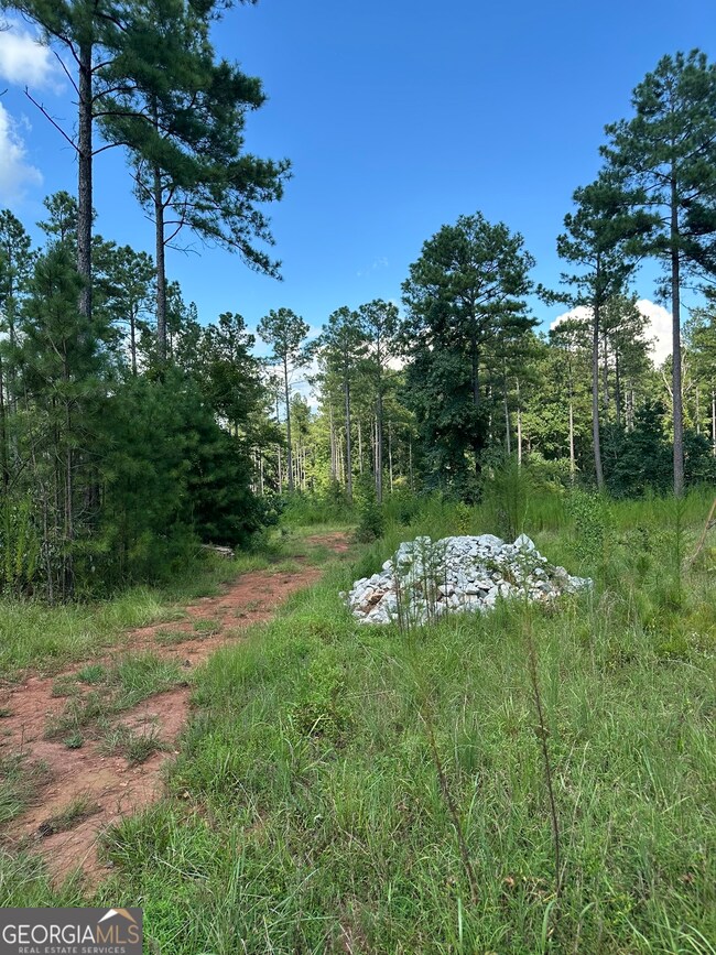 0 Fears Rd unit 10647985, Madison, GA 30650 - photo 6