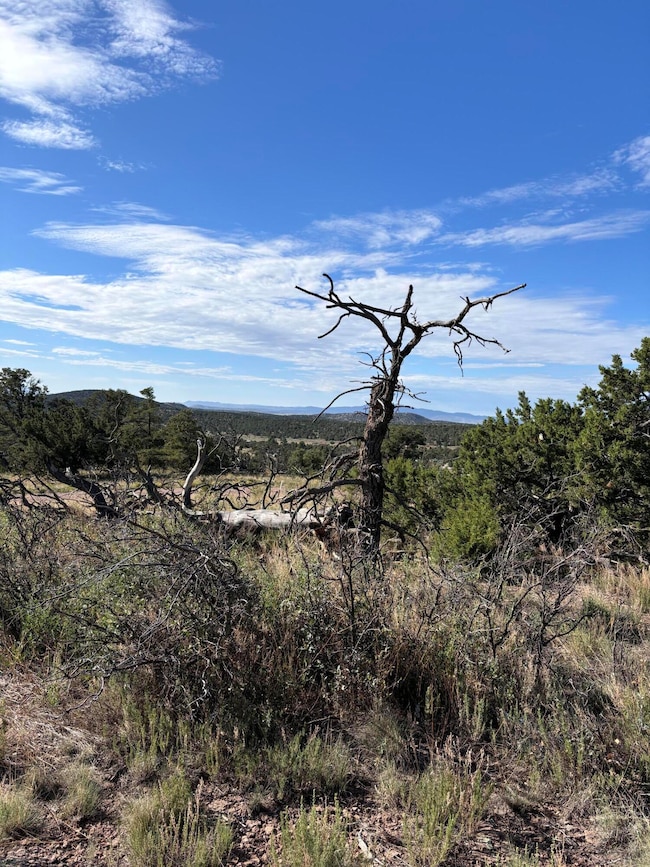 34 Lookout Cir, Datil, NM 87821 - photo 6