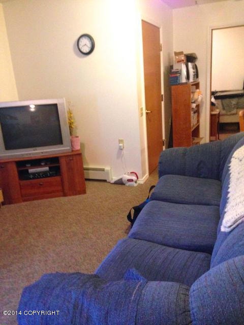 Living area in Unit 1
