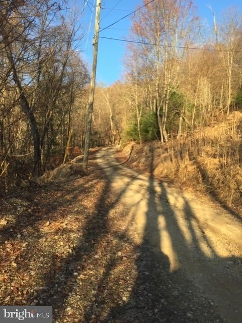 0 Rt 5 10 (Buffalo Hills Road), Franklin, WV 26807 - photo 2