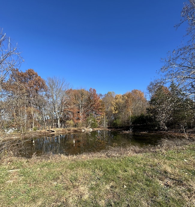 3122 Linwood Rd, Watertown, TN 37184 - photo 4