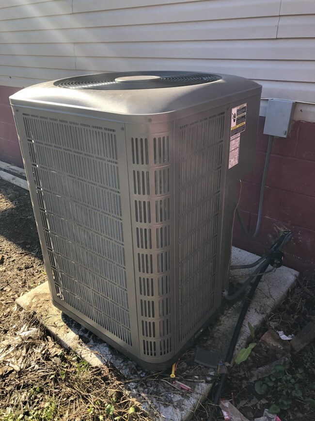 916 Horse Mountain Rd, Shelbyville, TN 37160 - photo 4