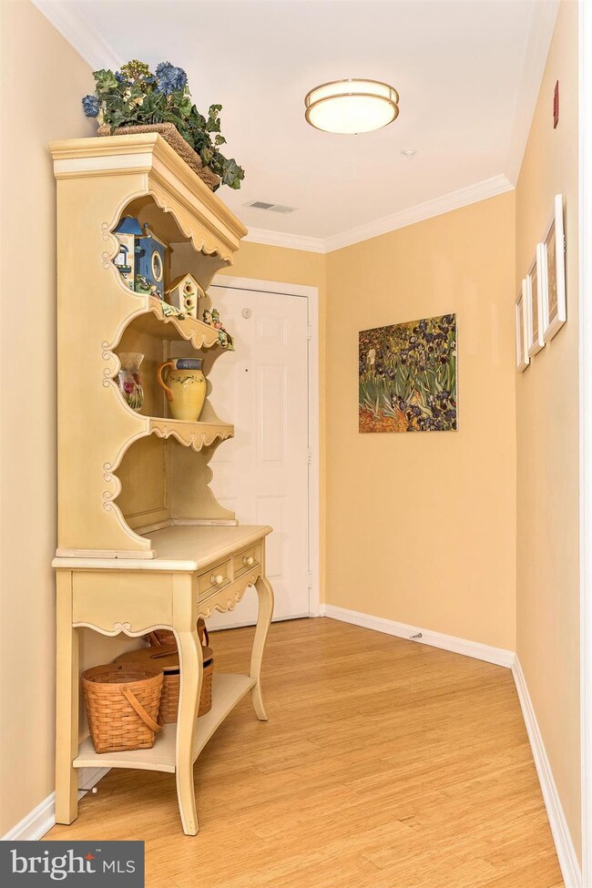 2501 Catoctin Ct unit 2C, Frederick, MD 21702 - photo 5