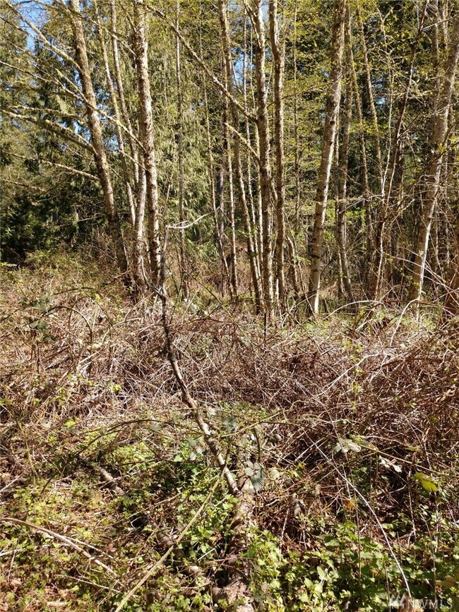 0 Forest Ln, Langley, WA 98260 - photo 4