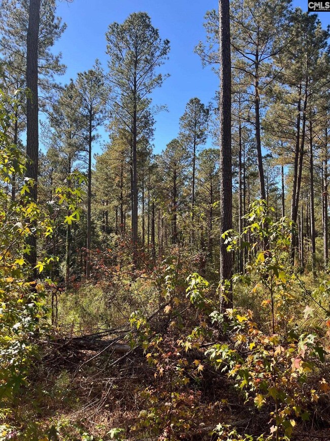 DRF 4 Dawkins Rd unit DRF 4, Pacolet, SC 29372 - photo 2