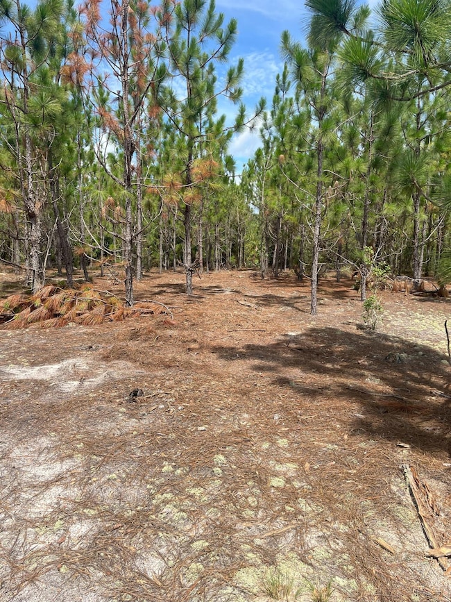 PPF 8 Payne Pond Rd unit PPF 8, Westville, SC 29175 - photo 7