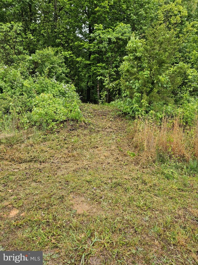 Lot 393 Beauregard Way, Mineral, VA 23117 - photo 6