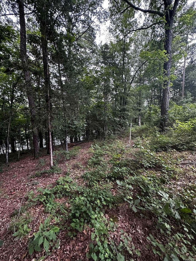 Lot 70 Cobalt Bay Dr, Shirley, AR 72153 - photo 5