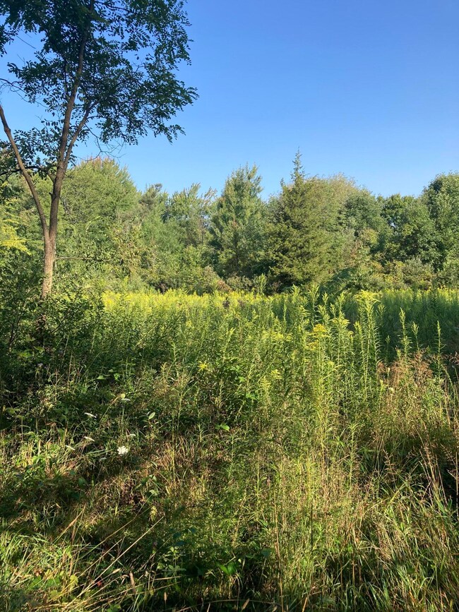 9503C238-6445-4124-BDD5-75BD36D3183D