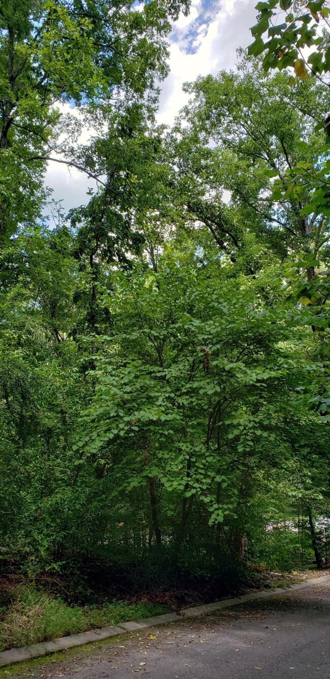 0 Shady Oaks Cove unit RTC2720331, Dunlap, TN 37327 - photo 5