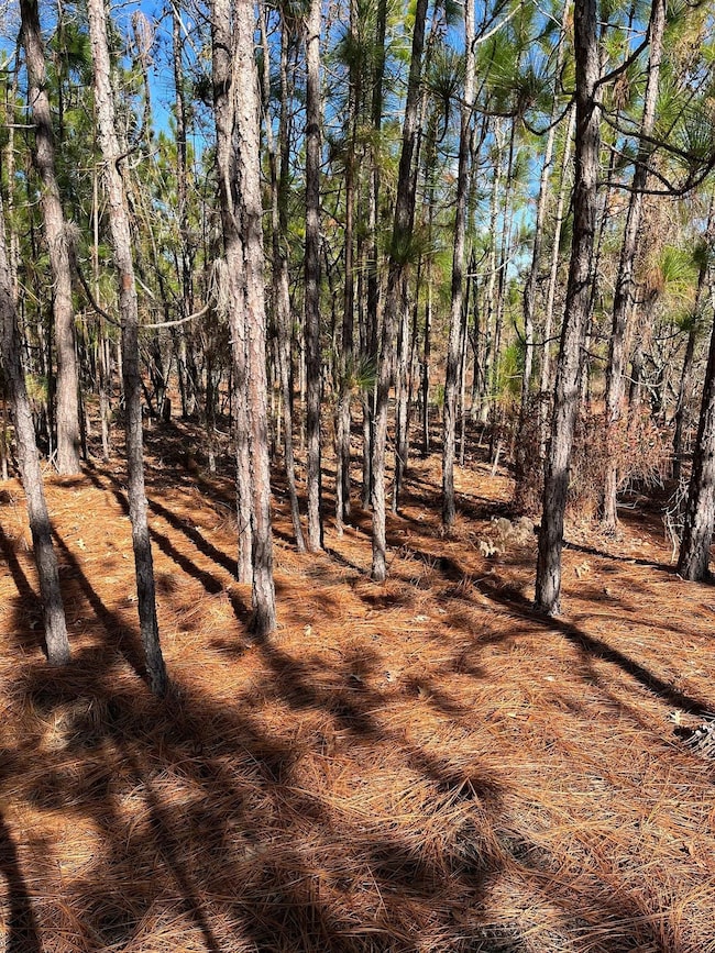 492 Southbound Rd, Swansea, SC 29160 - photo 2