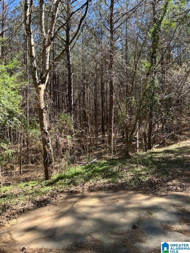 0 Kensington Blvd unit 21413574, McCalla, AL 35111 - photo 6