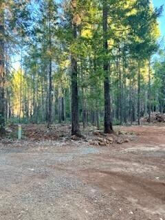 Grounds around the homesite.
