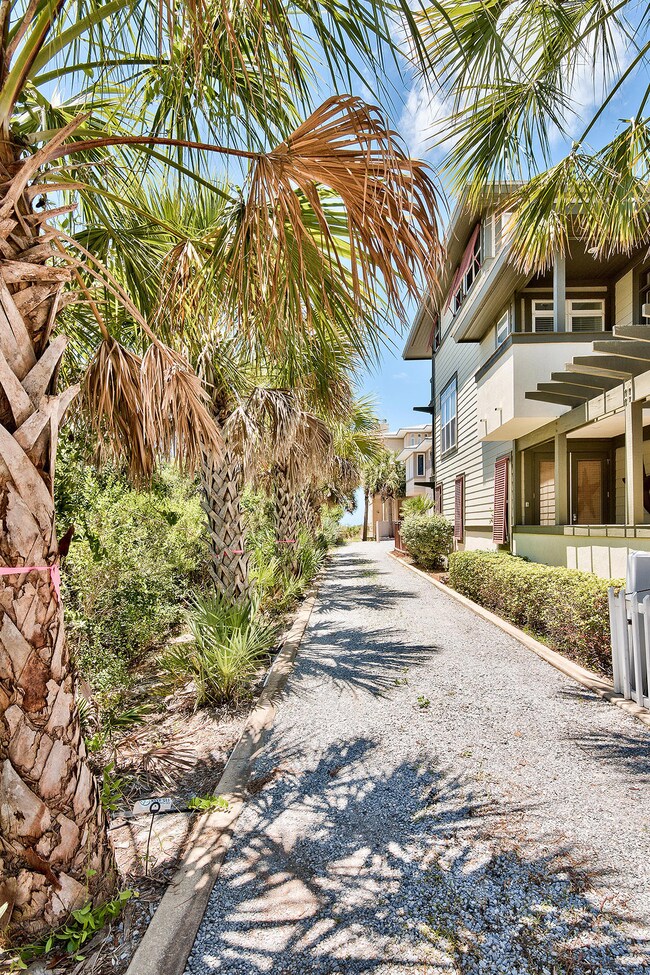 Driveway view