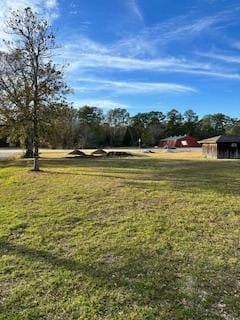 33666 U S 96, Buna, TX 77612 - photo 2