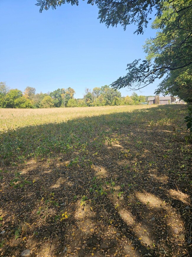 VL Thorne Rd, Horton, MI 49246 - photo 7