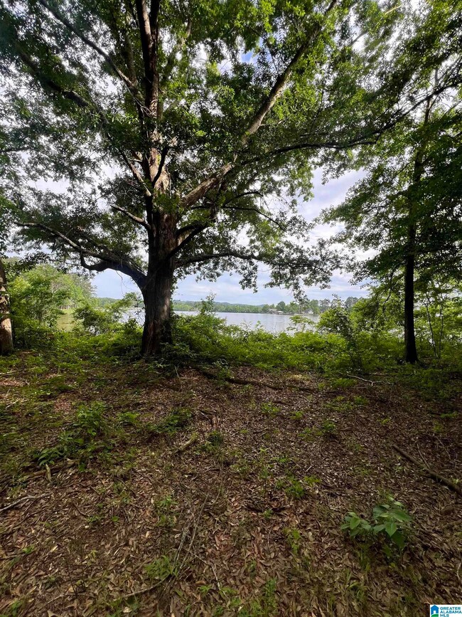 0 Cedar Shores Dr unit 21419292, Sylacauga, AL 35151 - photo 3
