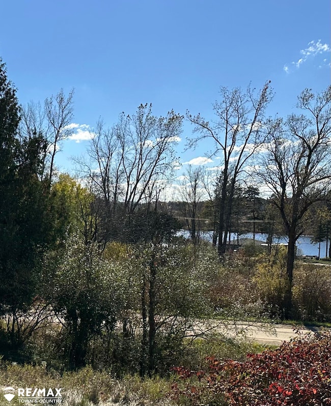 3077 Phelps Lake Rd, Mayville, MI 48744 - photo 2