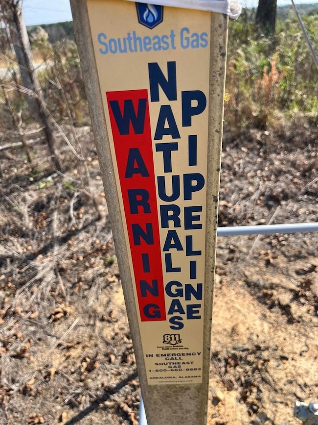 TBD US Highway 431 S, Eufaula, AL 36027 - photo 2