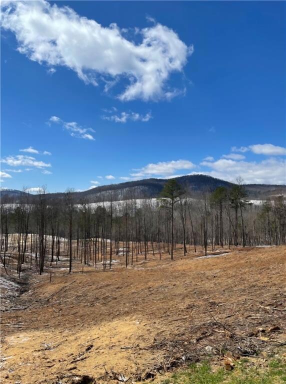 aCTUAL LOT AND VIEW