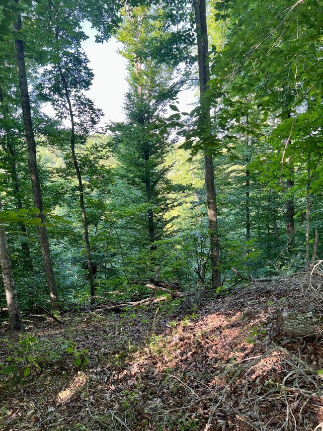 20220626172726343747000000-o