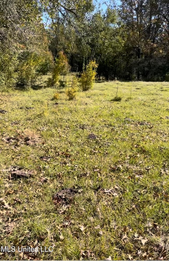 1105 Chapman Rd, Utica, MS 39175 - photo 5