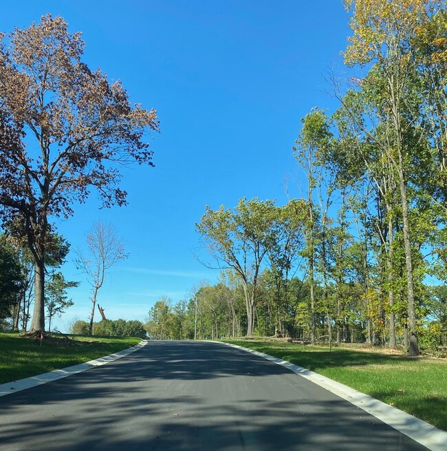 Lot 38 the Estates of Enniskerry, Nixa, MO 65714 - photo 5