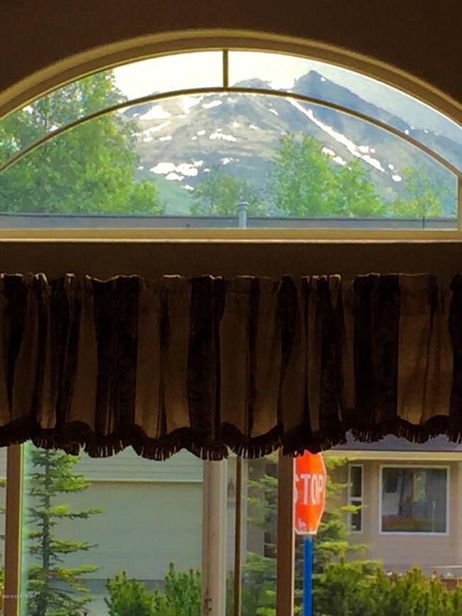 view through front window