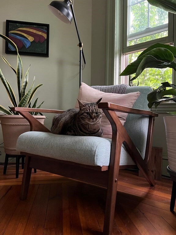 207 Summer St unit 1, Somerville, MA 02143 - photo 6