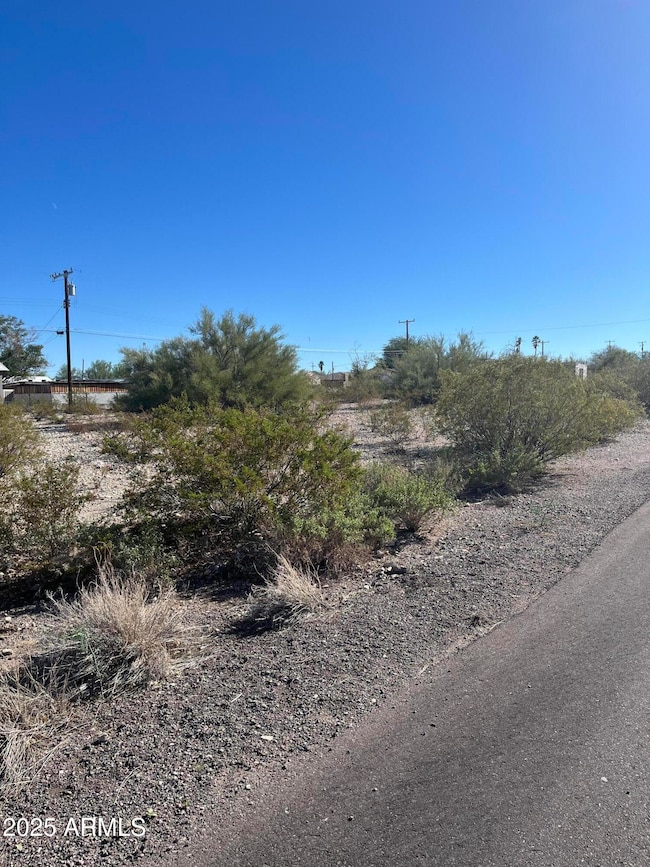 1350 N Sartillion Ave unit 23, Ajo, AZ 85321 - photo 4