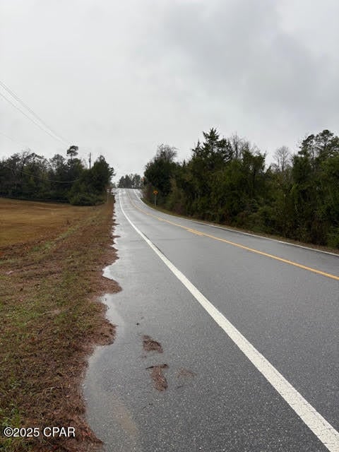 4593 Meadowview Rd, Marianna, FL 32446 - photo 7