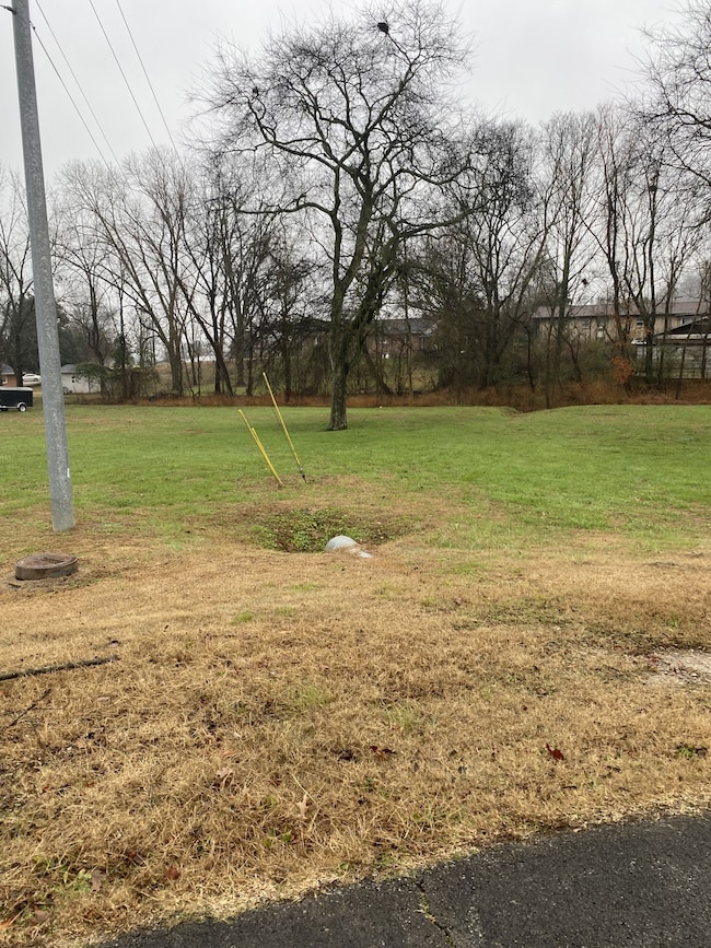 109 Mimi Cir, Pulaski, TN 38478 - photo 4