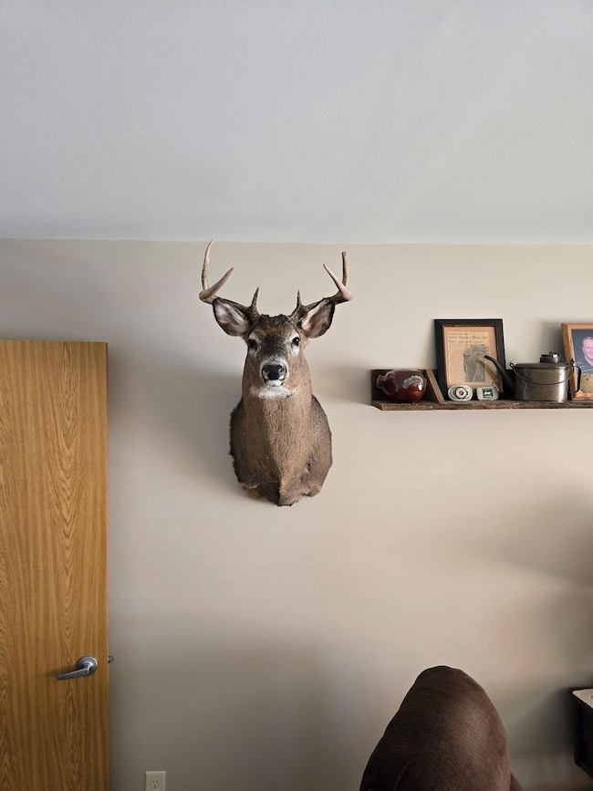 TBD Billy Creek Rd E, Big Falls, MN 56627 - photo 4