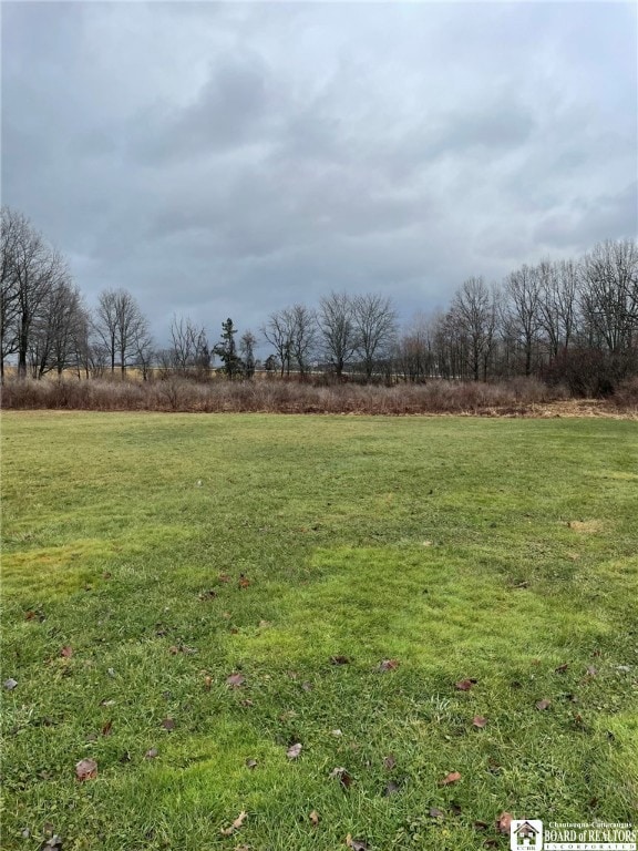 0 E Main St, Ellicott, NY 14733 - photo 2