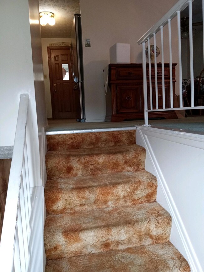 2933 Fleet Rd, Columbus, OH 43232 - photo 2