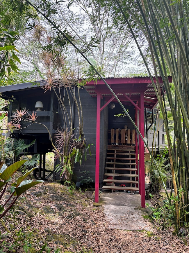 Front steps leading up to the house