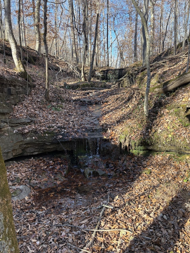 0 Pigpen Hollow Rd unit RTC3050203, Waynesboro, TN 38485 - photo 6