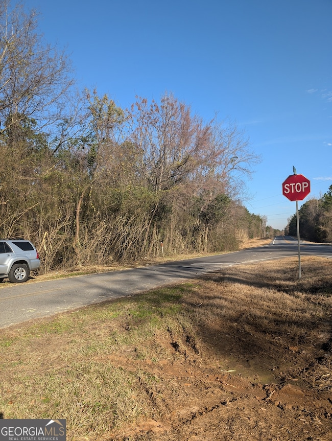 0 Parker Rd unit 10461595, Dry Branch, GA 31020 - photo 3